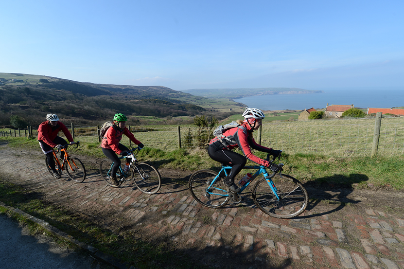 Image of The Cinder Track