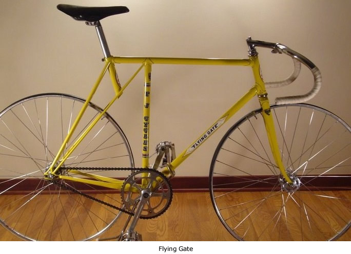 Image of the Flying Gate